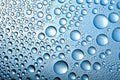 5-Peptide Blend